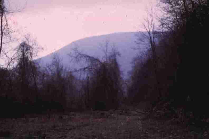 nps1059.jpg