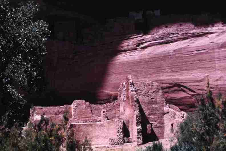 nps1114.jpg