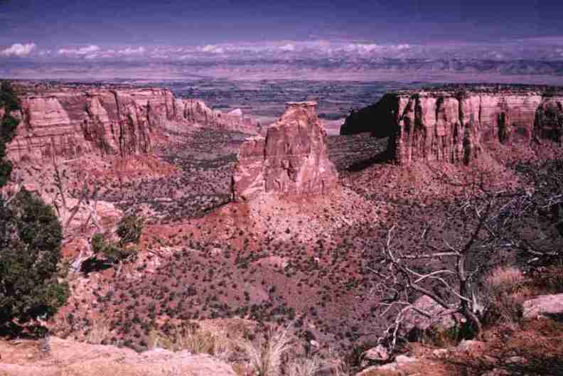nps1146.jpg