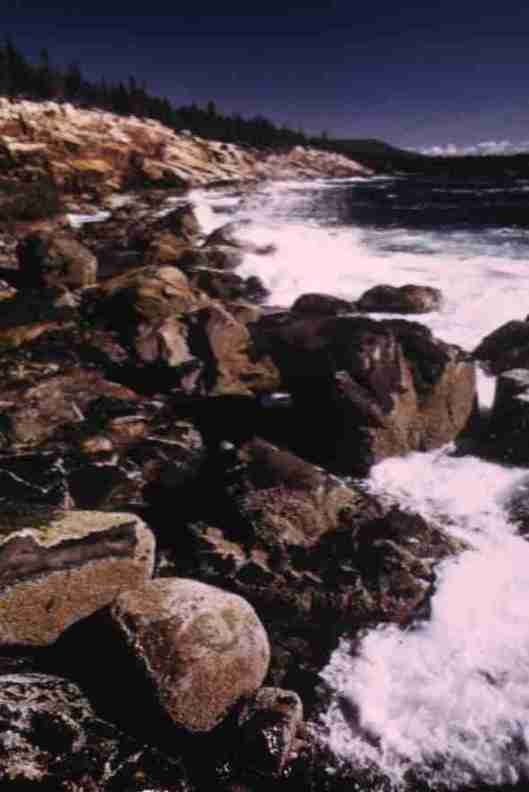 nps1152.jpg