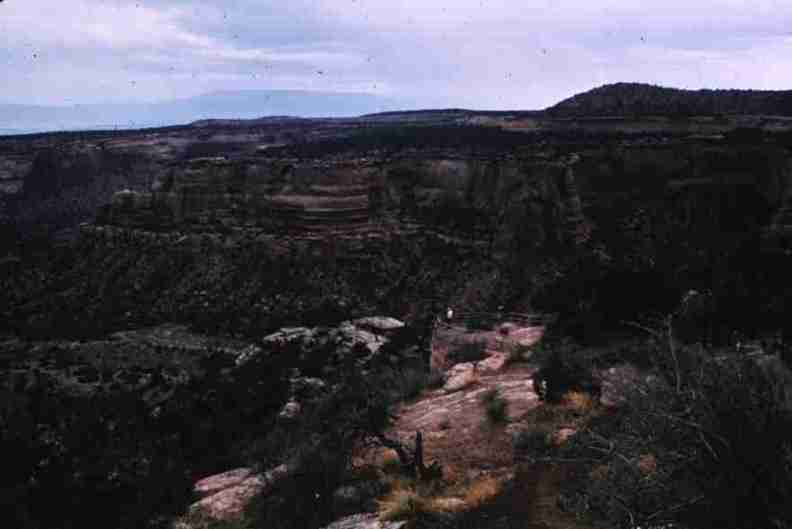 nps1163.jpg