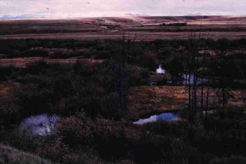 nps1166.jpg
