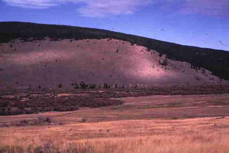 nps1167.jpg
