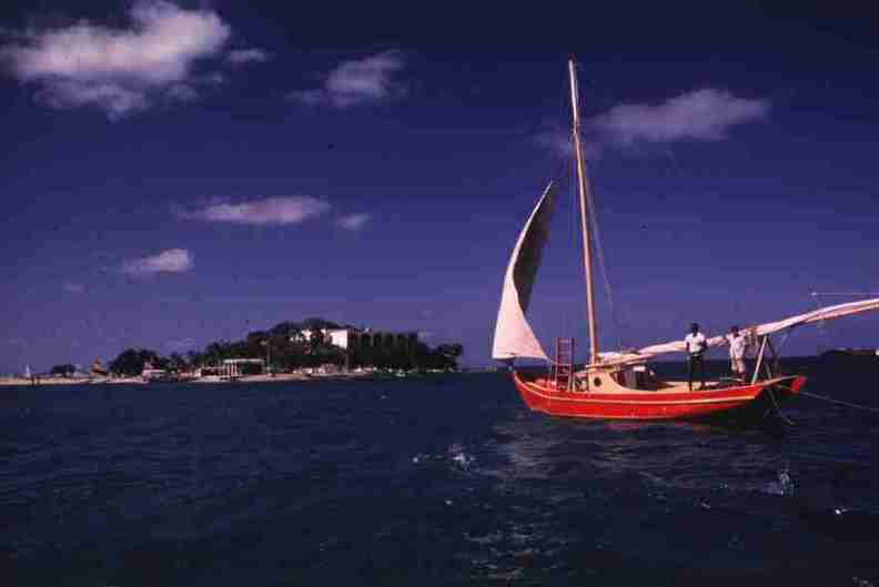 nps1171.jpg