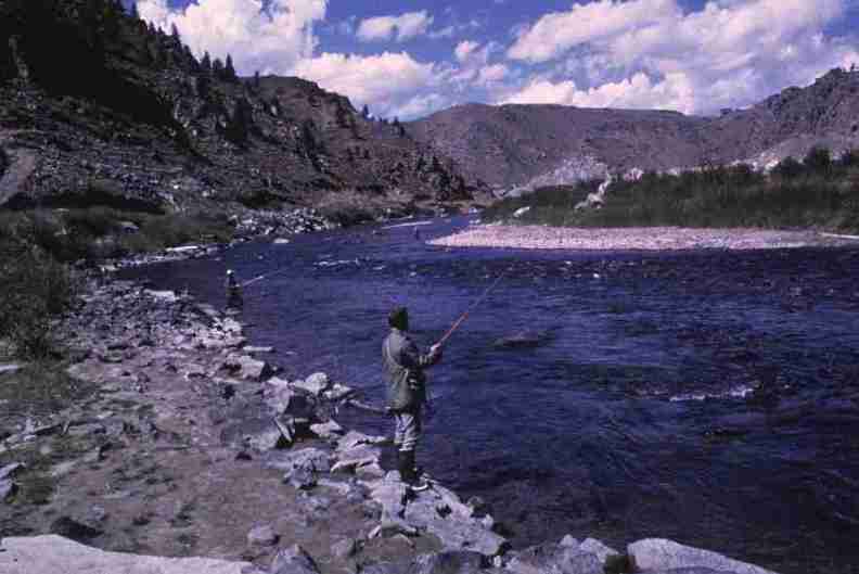 nps1174.jpg