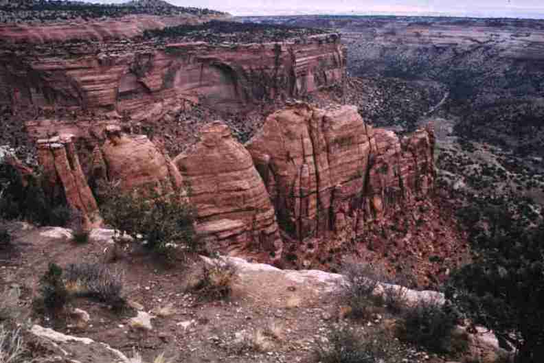 nps1175.jpg