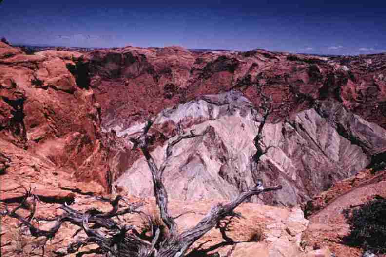 nps1176.jpg
