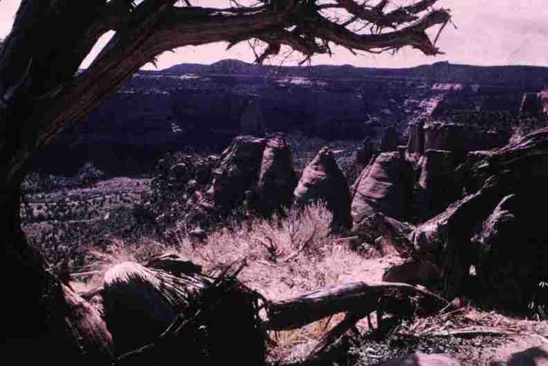 nps1177.jpg