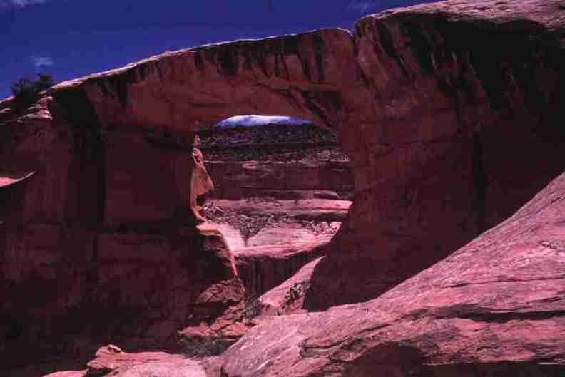 nps1178.jpg