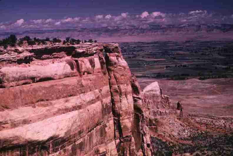 nps1179.jpg
