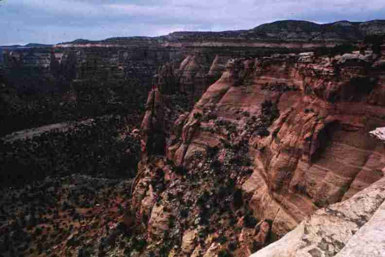 nps1182.jpg