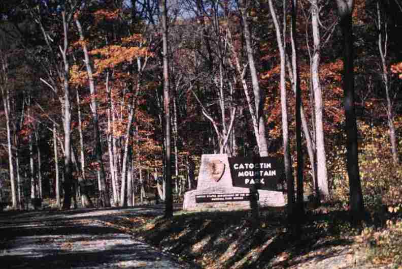 nps1185.jpg
