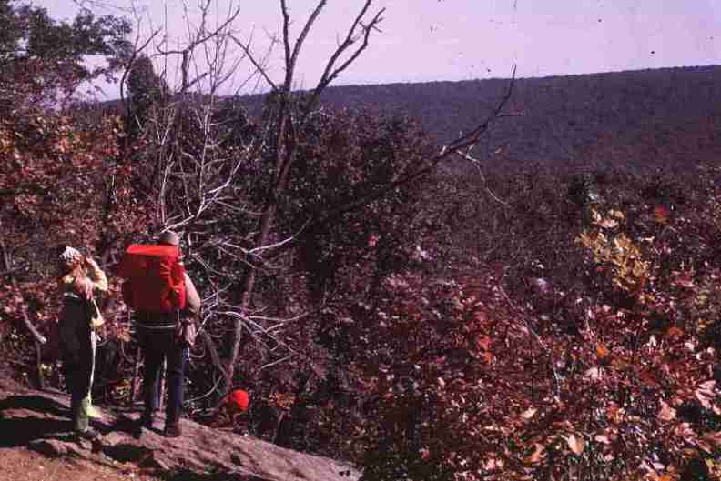 nps1191.jpg