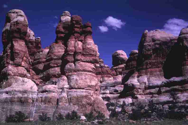 nps1196.jpg