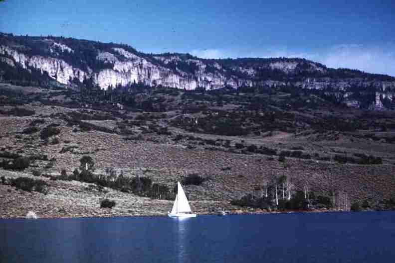 nps1198.jpg