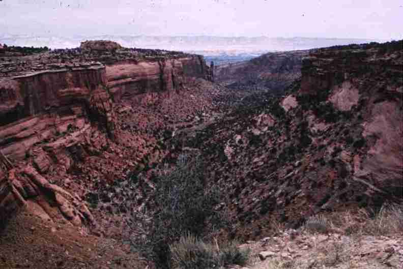 nps1199.jpg