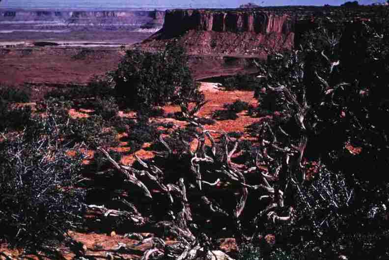 nps1204.jpg