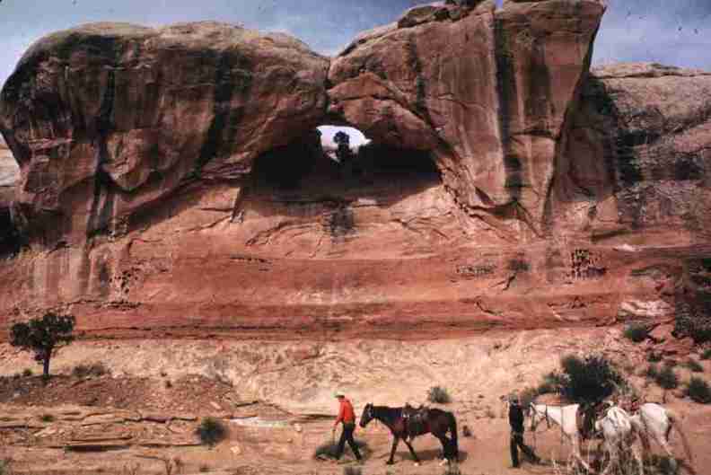 nps1207.jpg