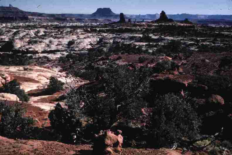 nps1210.jpg