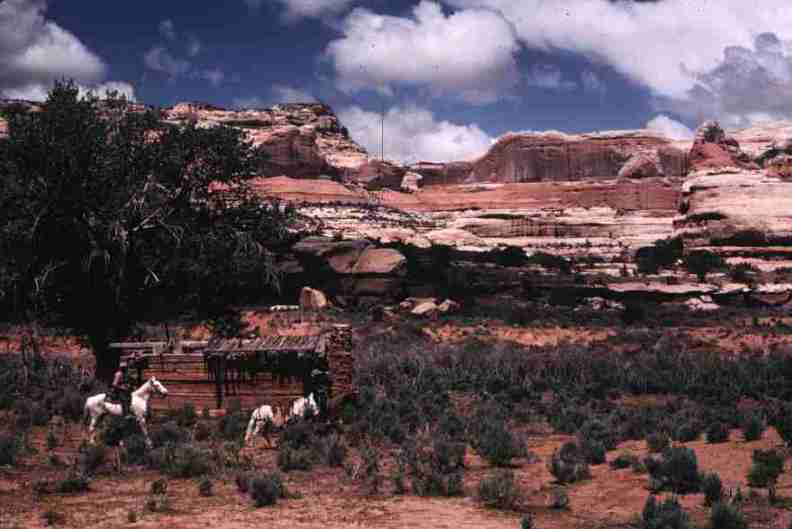 nps1213.jpg