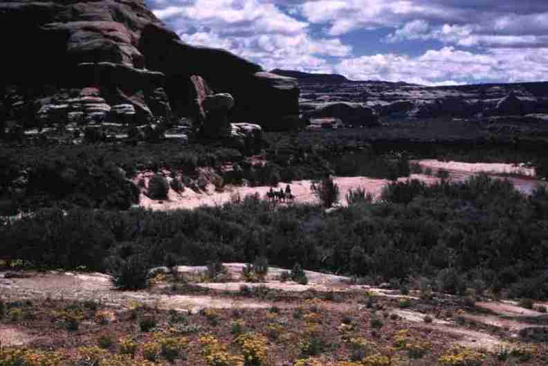 nps1216.jpg
