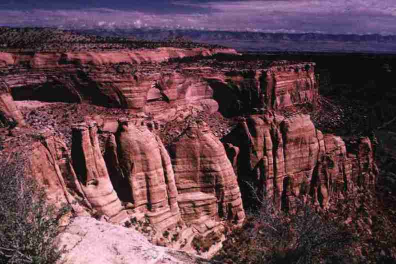 nps1231.jpg