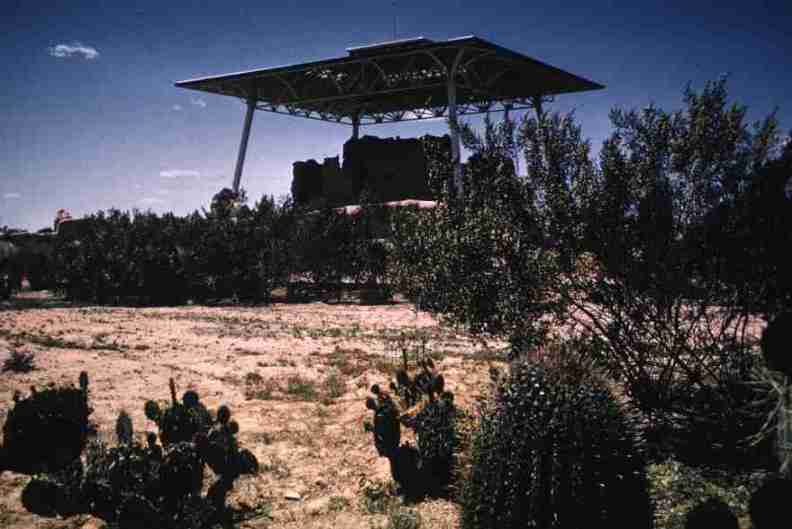 nps1233.jpg