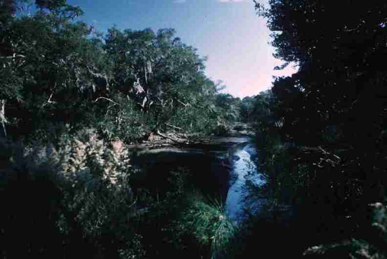 nps1237.jpg