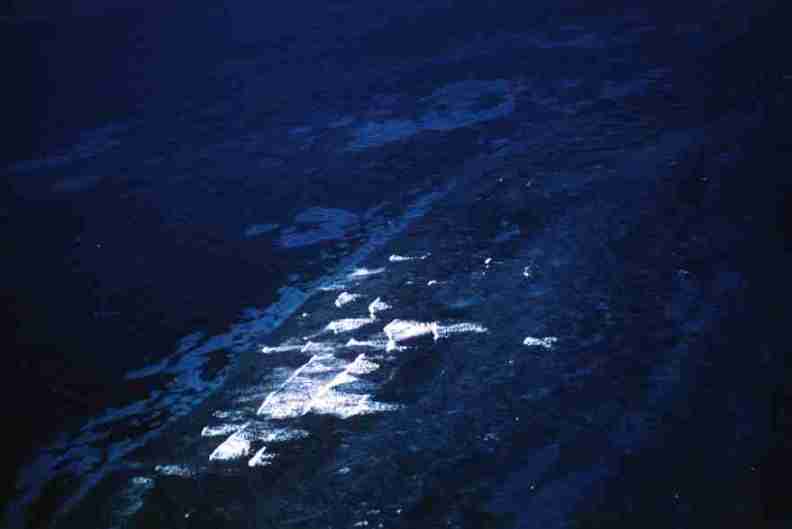 nps1244.jpg