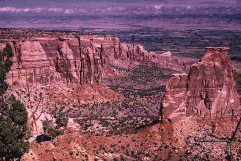 nps1254.jpg