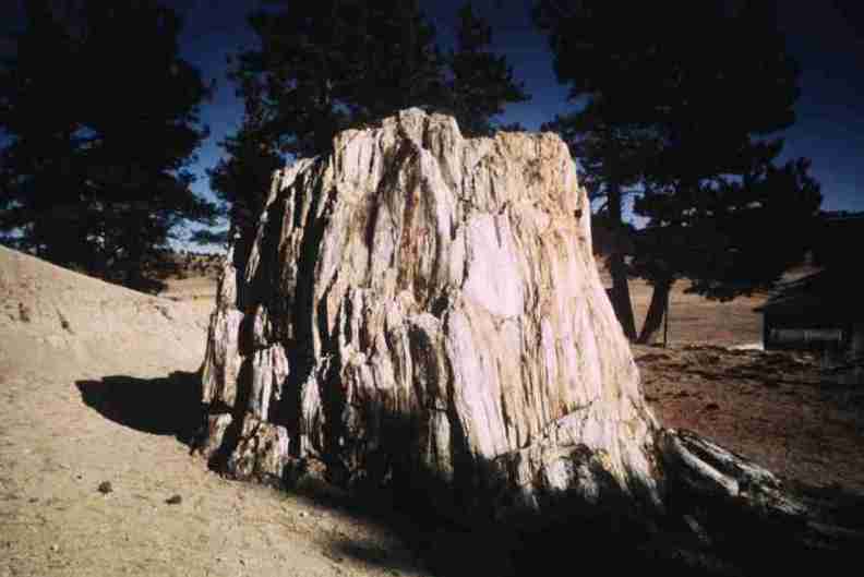 nps1260.jpg