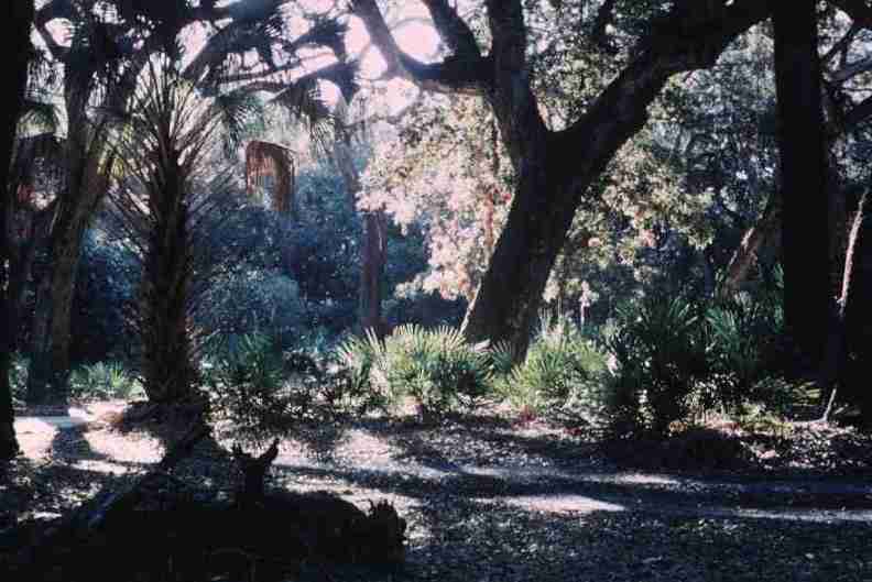 nps1261.jpg