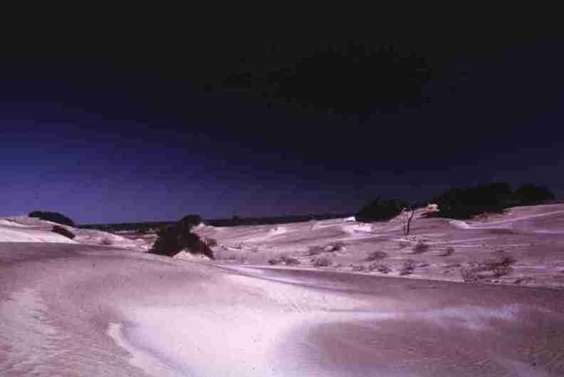 nps1263.jpg