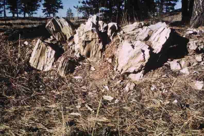 nps1266.jpg