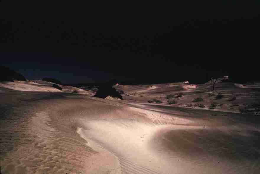 nps1267.jpg