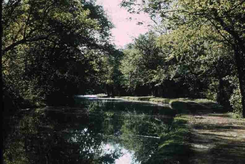 nps1271.jpg