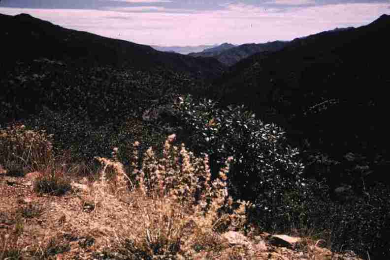 nps1282.jpg