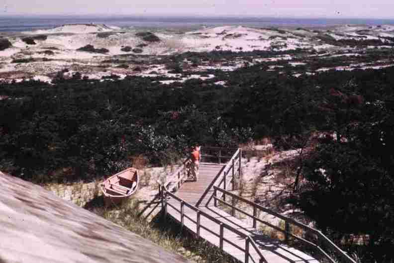 nps1283.jpg