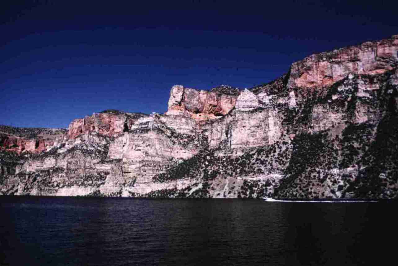 nps2001.jpg