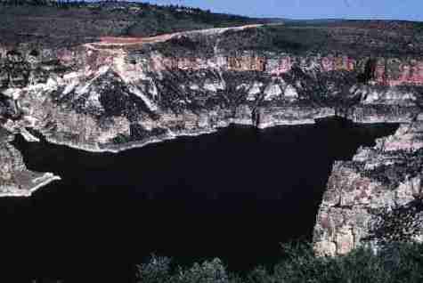 nps2008.jpg