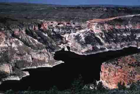 nps2009.jpg