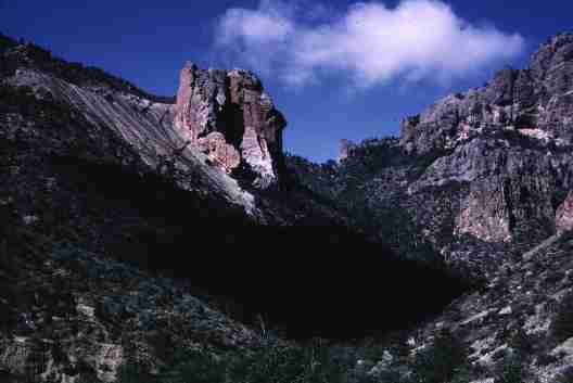 nps2014.jpg