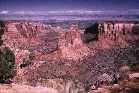 nps2031.jpg