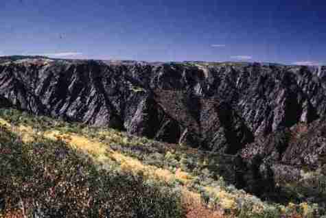 nps2041.jpg