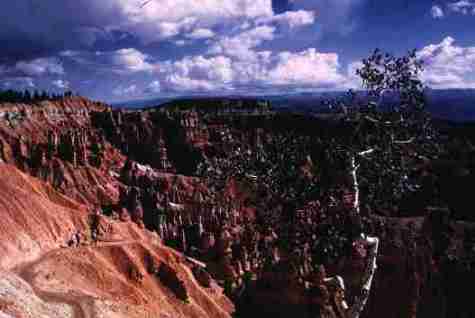 nps2058.jpg