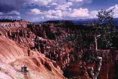 nps2061.jpg