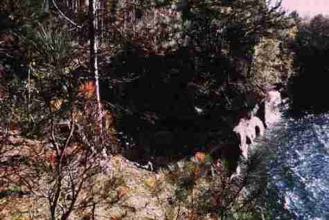 nps2087.jpg