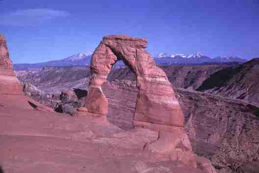 nps2100.jpg