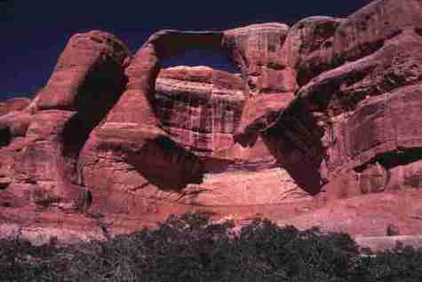 nps2103.jpg