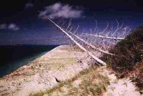 nps2121.jpg
